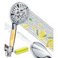 Filtered shower head